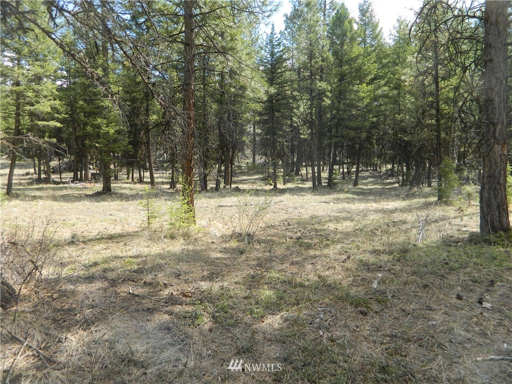 132 Squirrel Road Tonasket, WA 98855 - Photo 5 of 14 Gallery Image 5