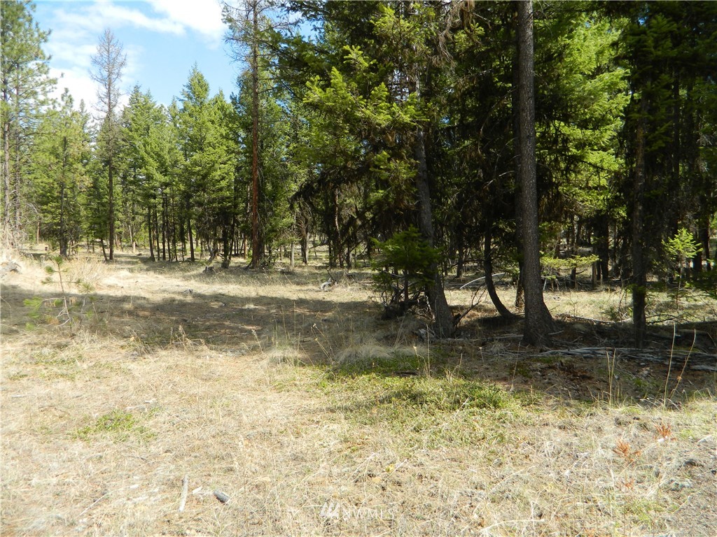 132 Squirrel Road Tonasket, WA 98855 - Photo 10 of 14 Gallery Image 10