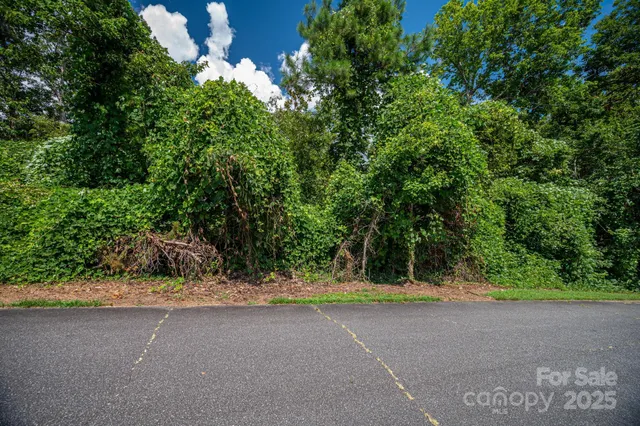 a view of a yard with plants and trees