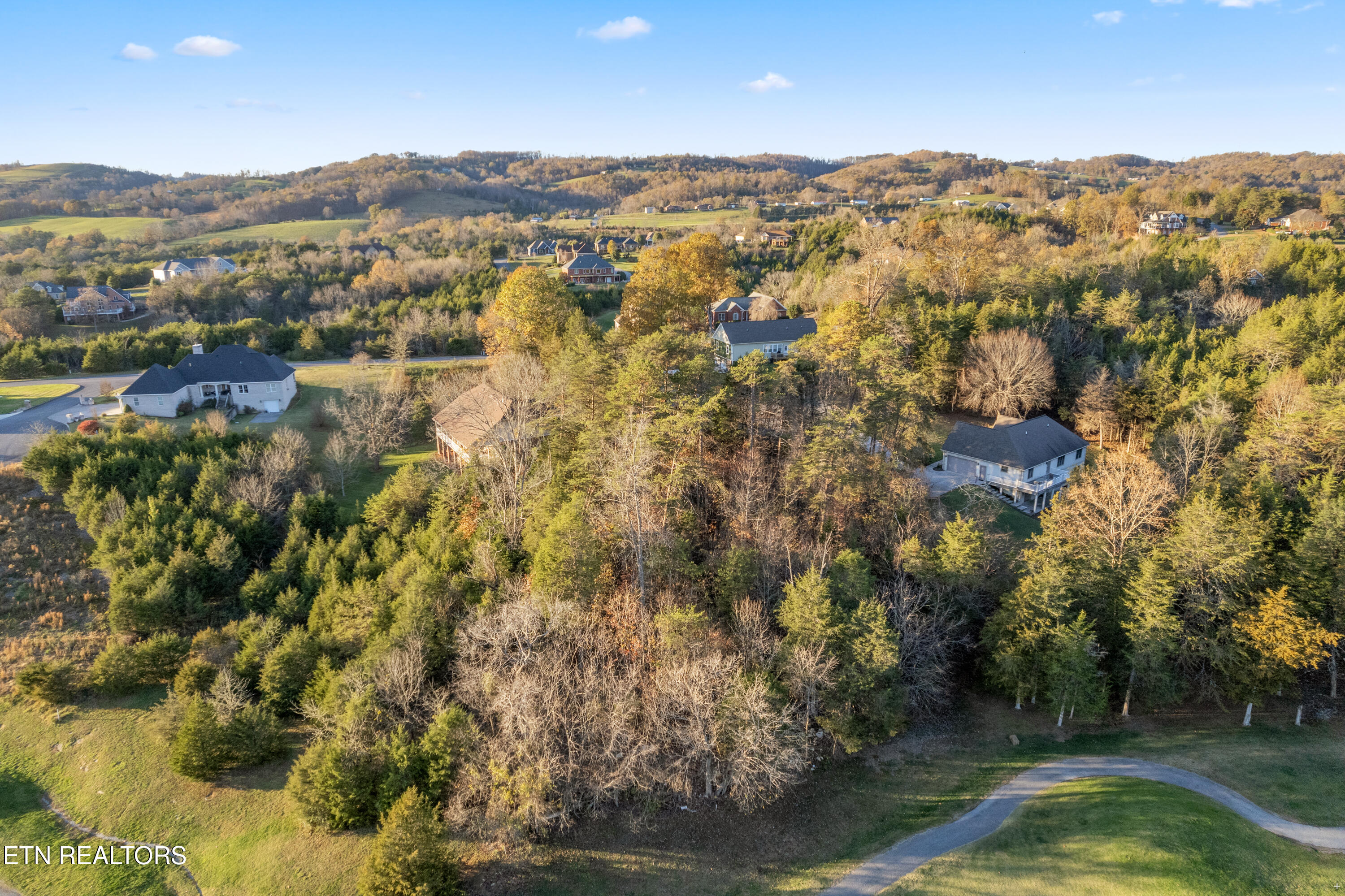 132 Legends Place Tazewell, TN 37879 - Photo 12 of 18 Positive Perceptions-8