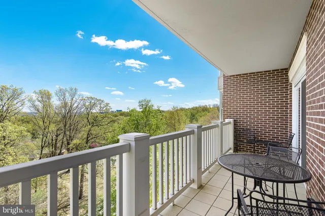 a view of a flower in the garden