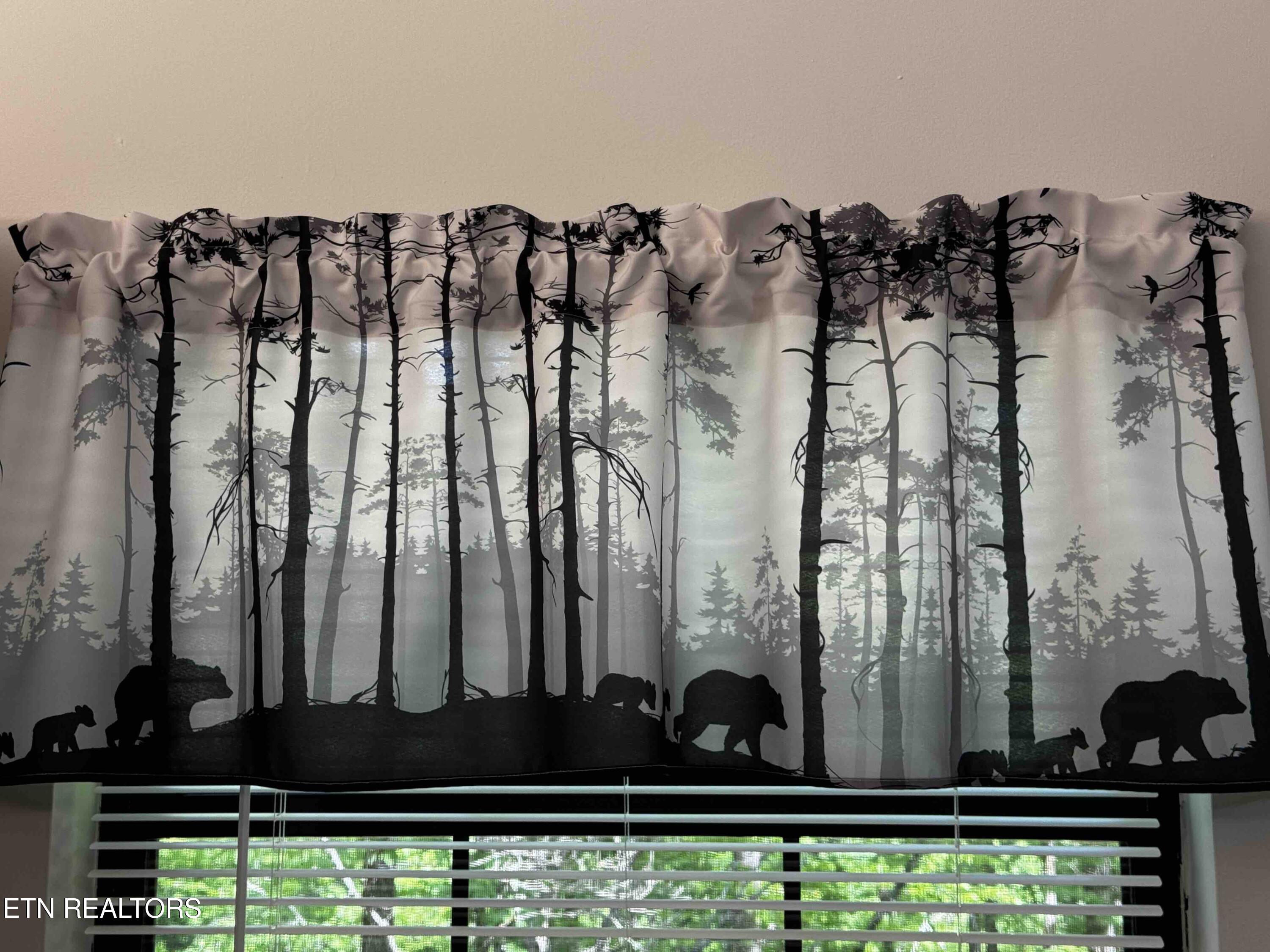 653 Oaks View Court Pigeon Forge, TN 37863 - Photo 18 of 49 Curtain