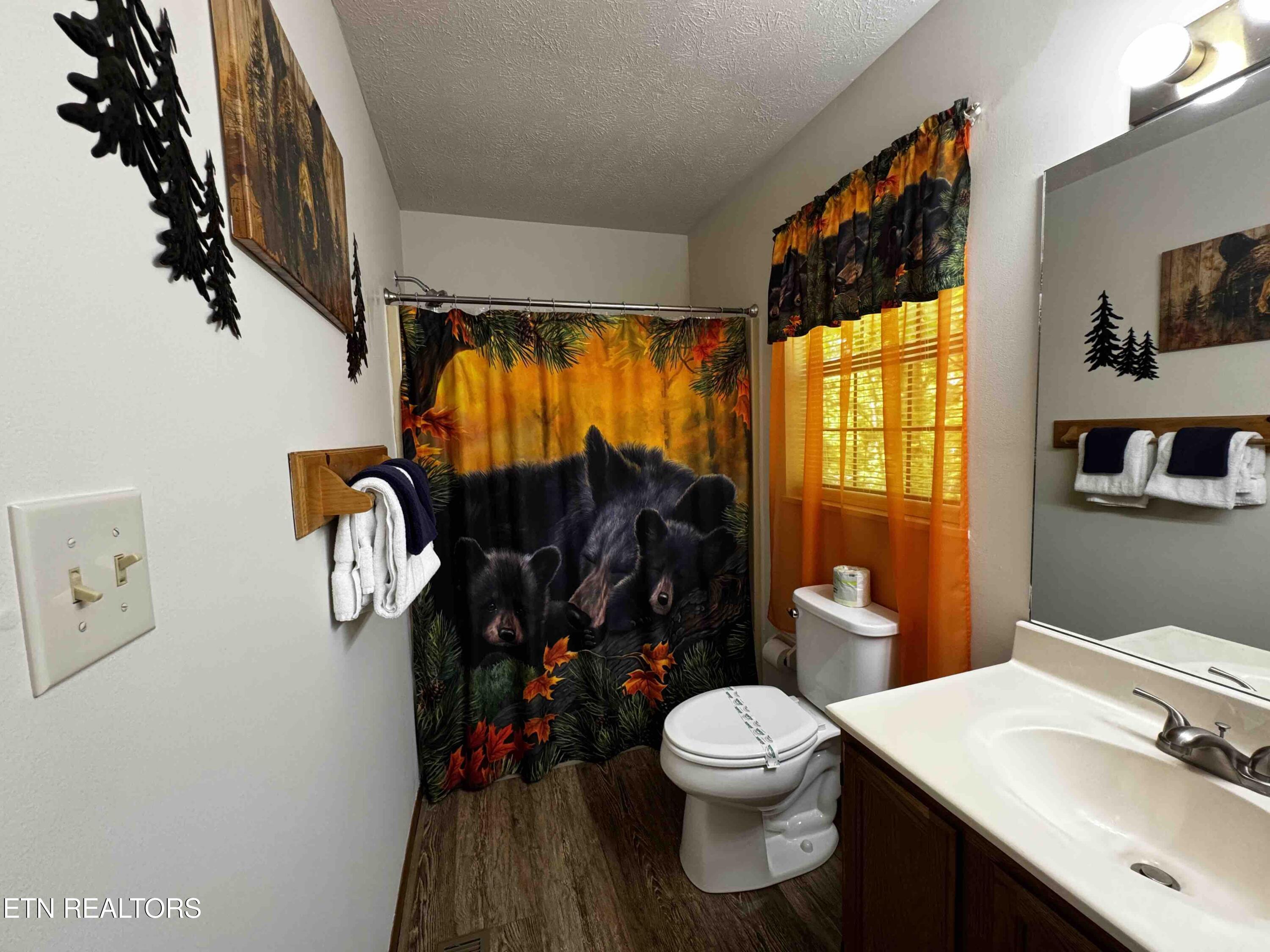 653 Oaks View Court Pigeon Forge, TN 37863 - Photo 22 of 49 Bath2Bear