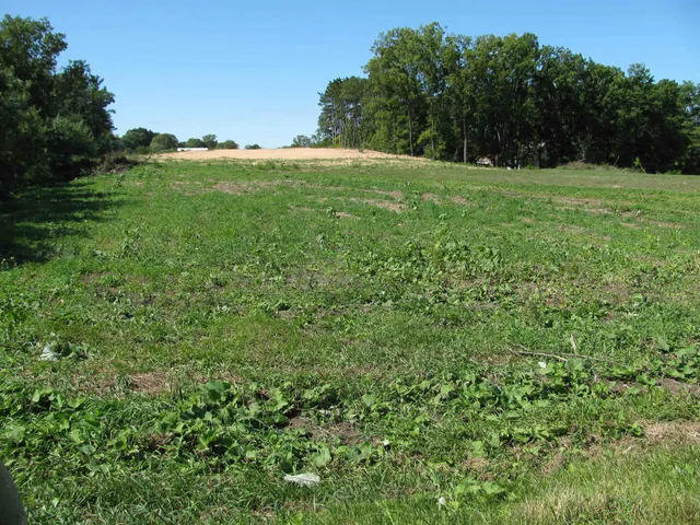 $130,000 | 3.38-ac Ray Hollow Road, Arena, WI 53503