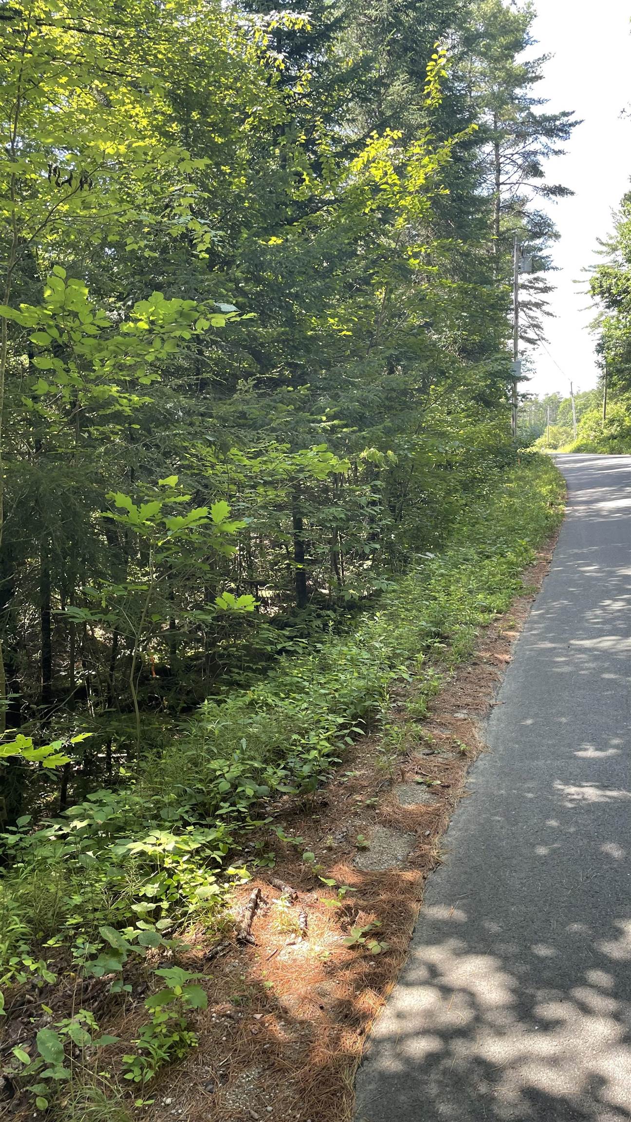 598 Bishop Road, Unit 11 Lisbon, NH 03585 - Photo 12 of 13