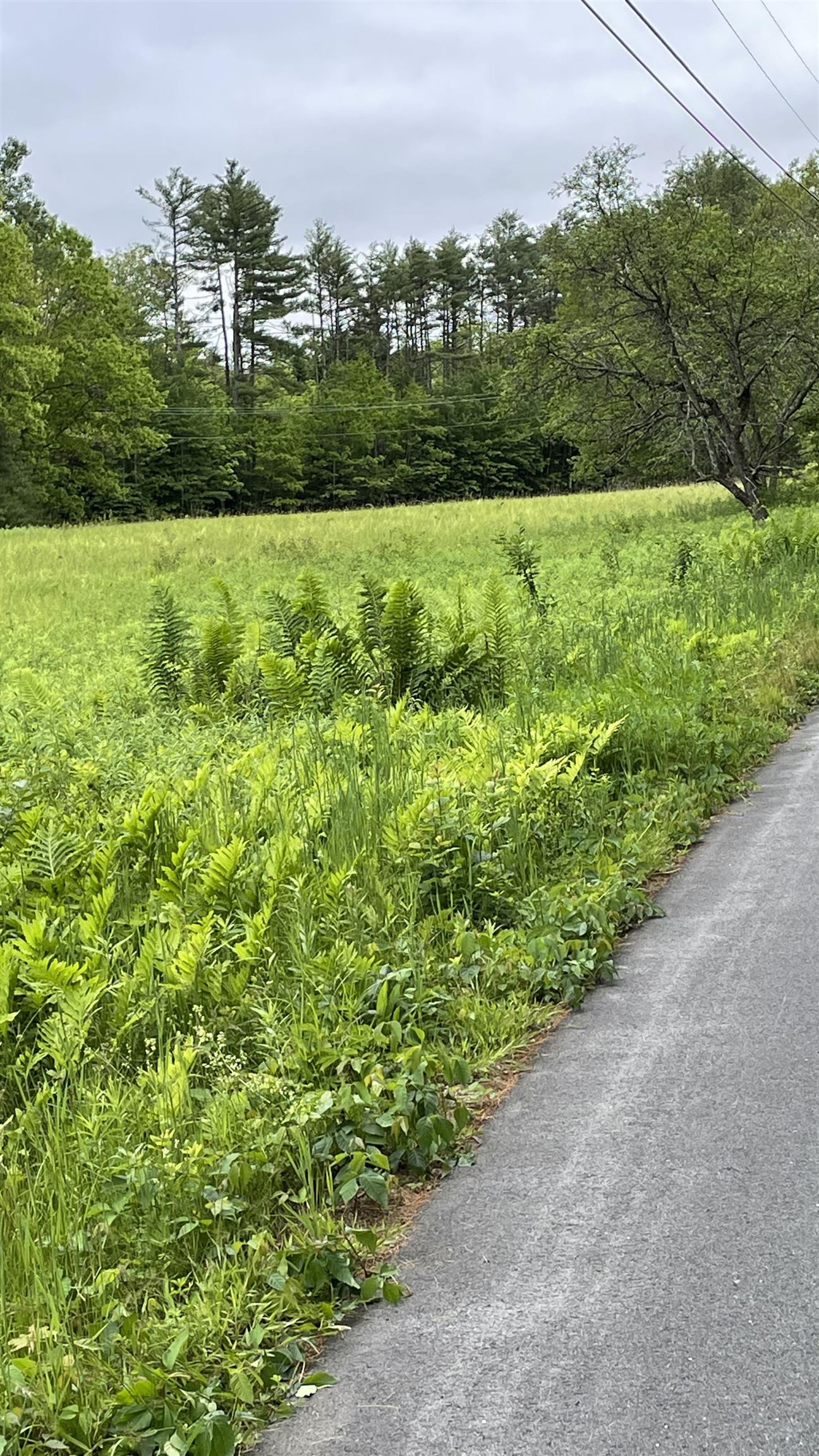 598 Bishop Road, Unit 11 Lisbon, NH 03585 - Photo 3 of 13