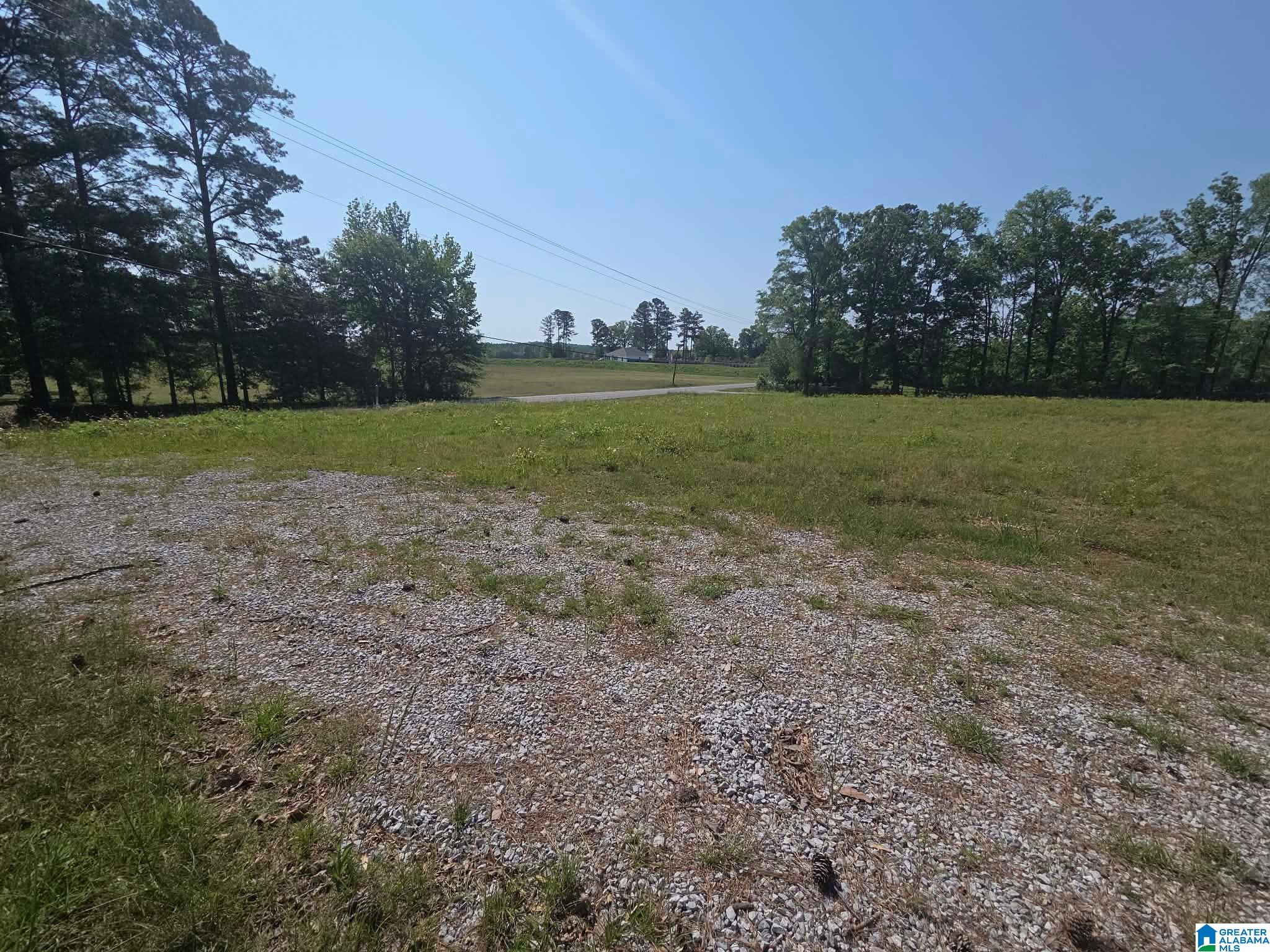 10997 Vance Blocton Road Vance, AL 35490 - Photo 5 of 5