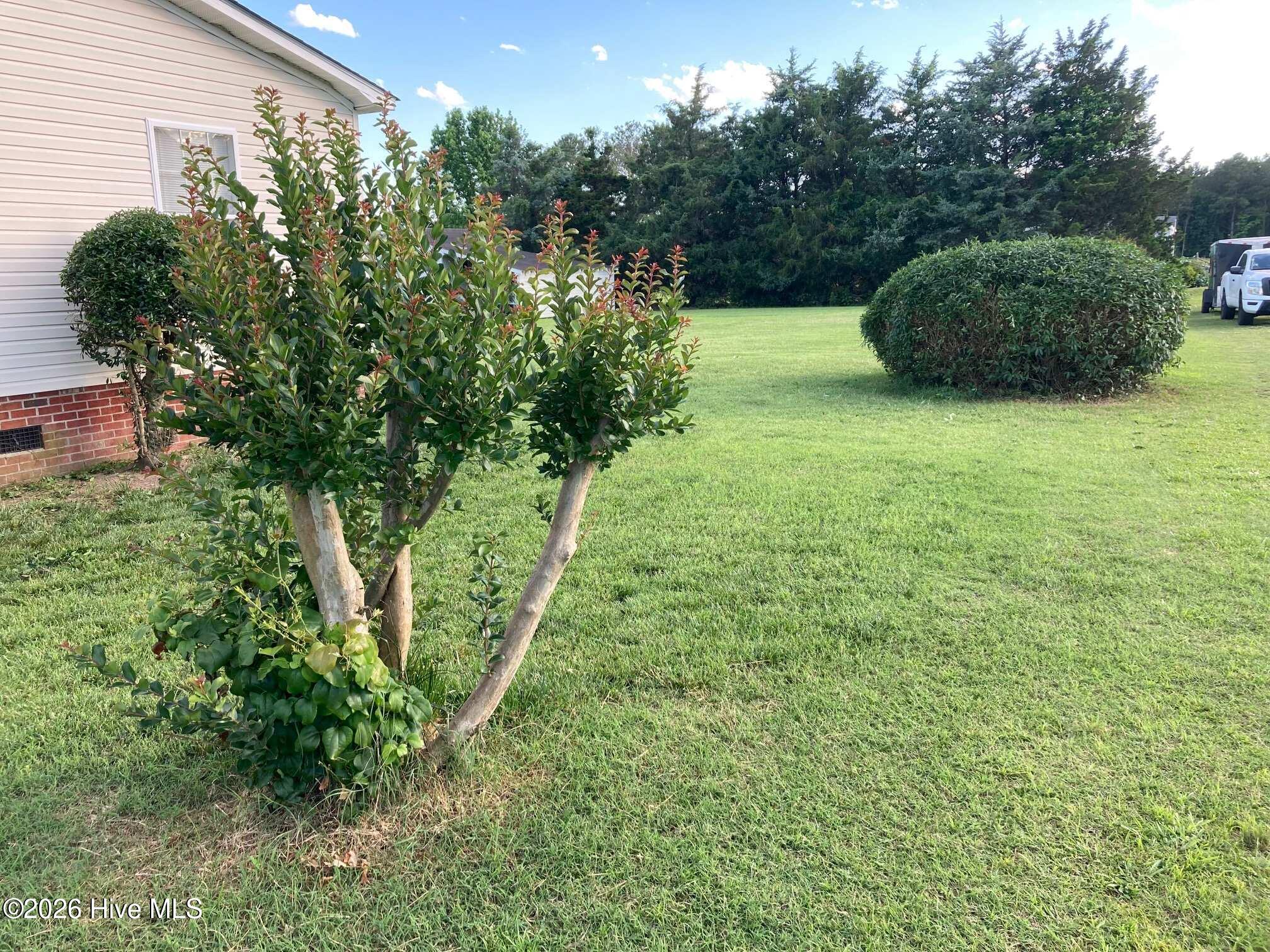4021 Arch Finch Road Wilson, NC 27893 - Photo 2 of 18 Side yard