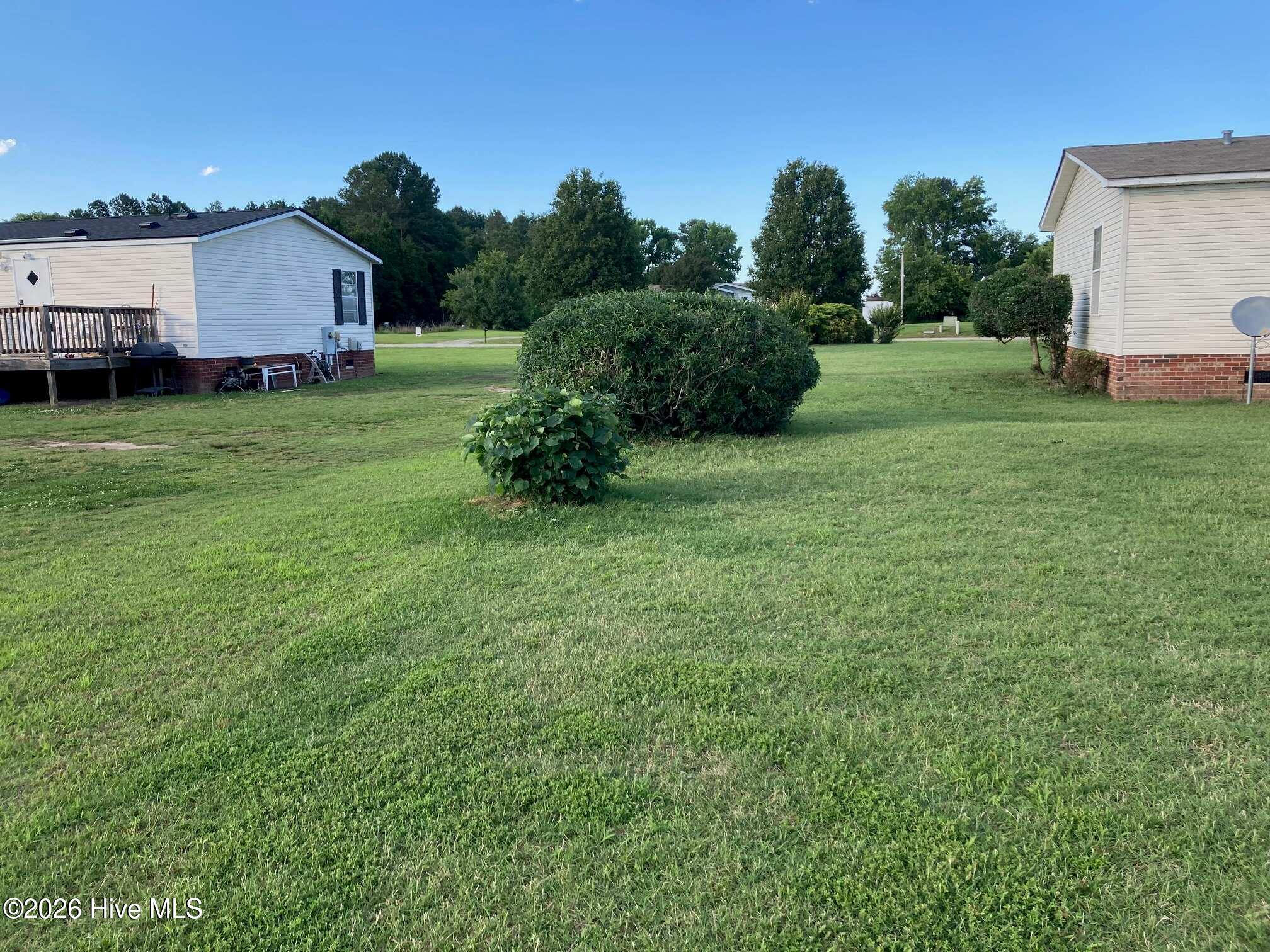 4021 Arch Finch Road Wilson, NC 27893 - Photo 3 of 18 Side yard
