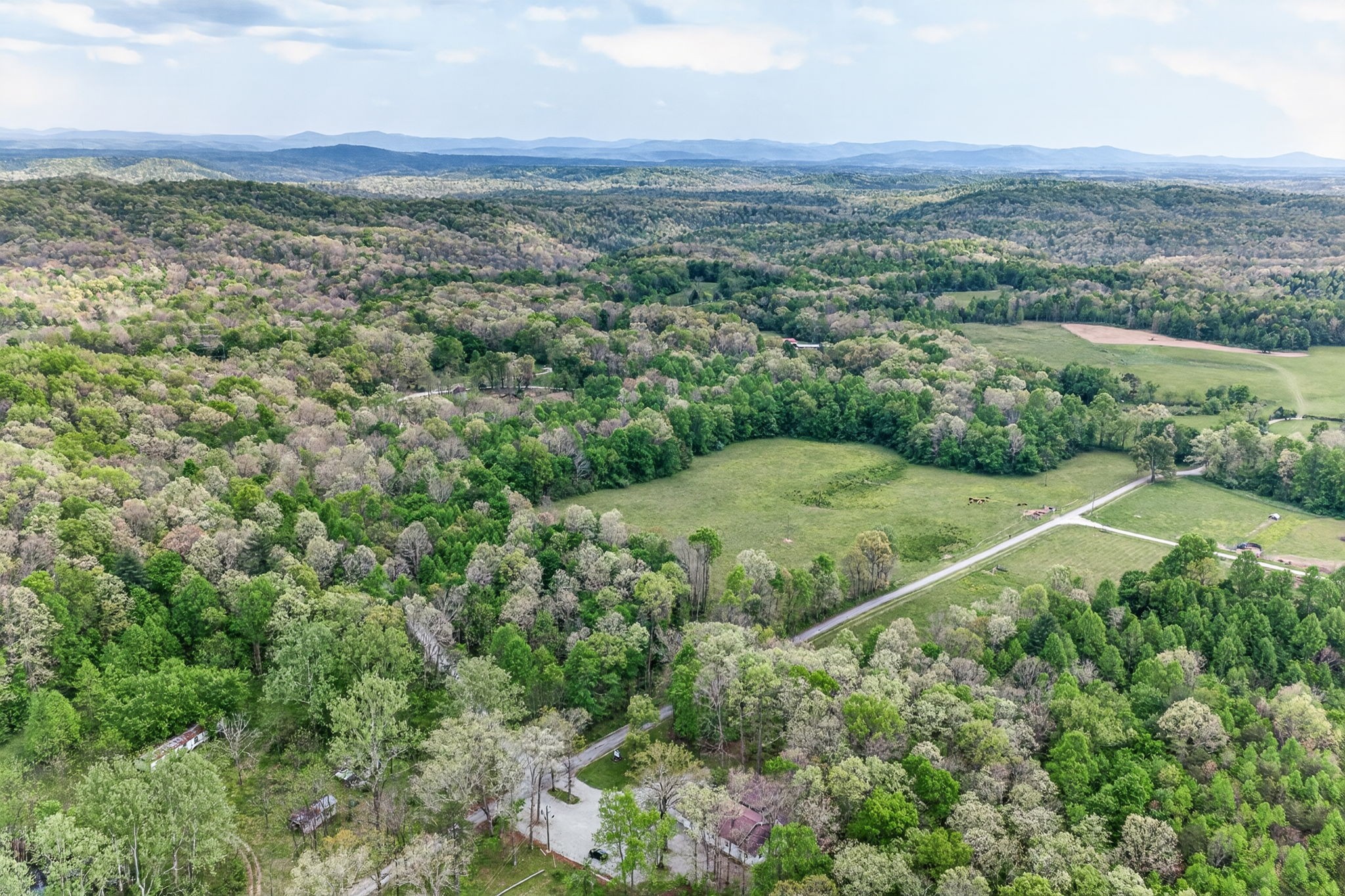 0 Honey Creek Loop Road Allardt, TN 38504 - Photo 11 of 19