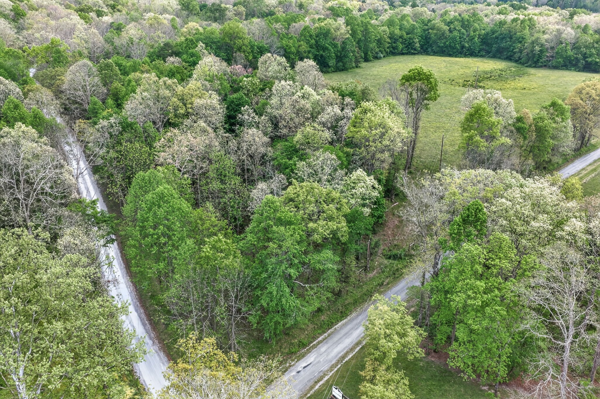 0 Honey Creek Loop Road Allardt, TN 38504 - Photo 12 of 19