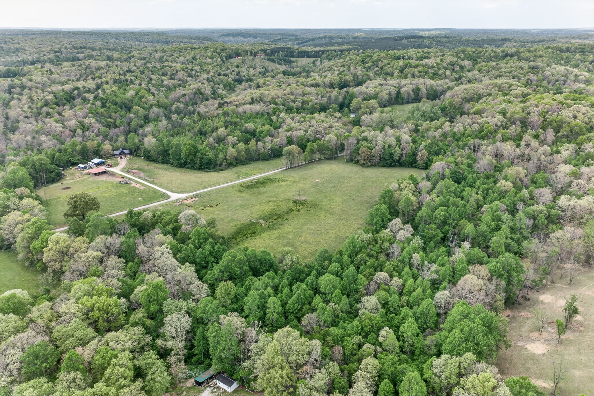 0 Honey Creek Loop Road Allardt, TN 38504 - Photo 13 of 19