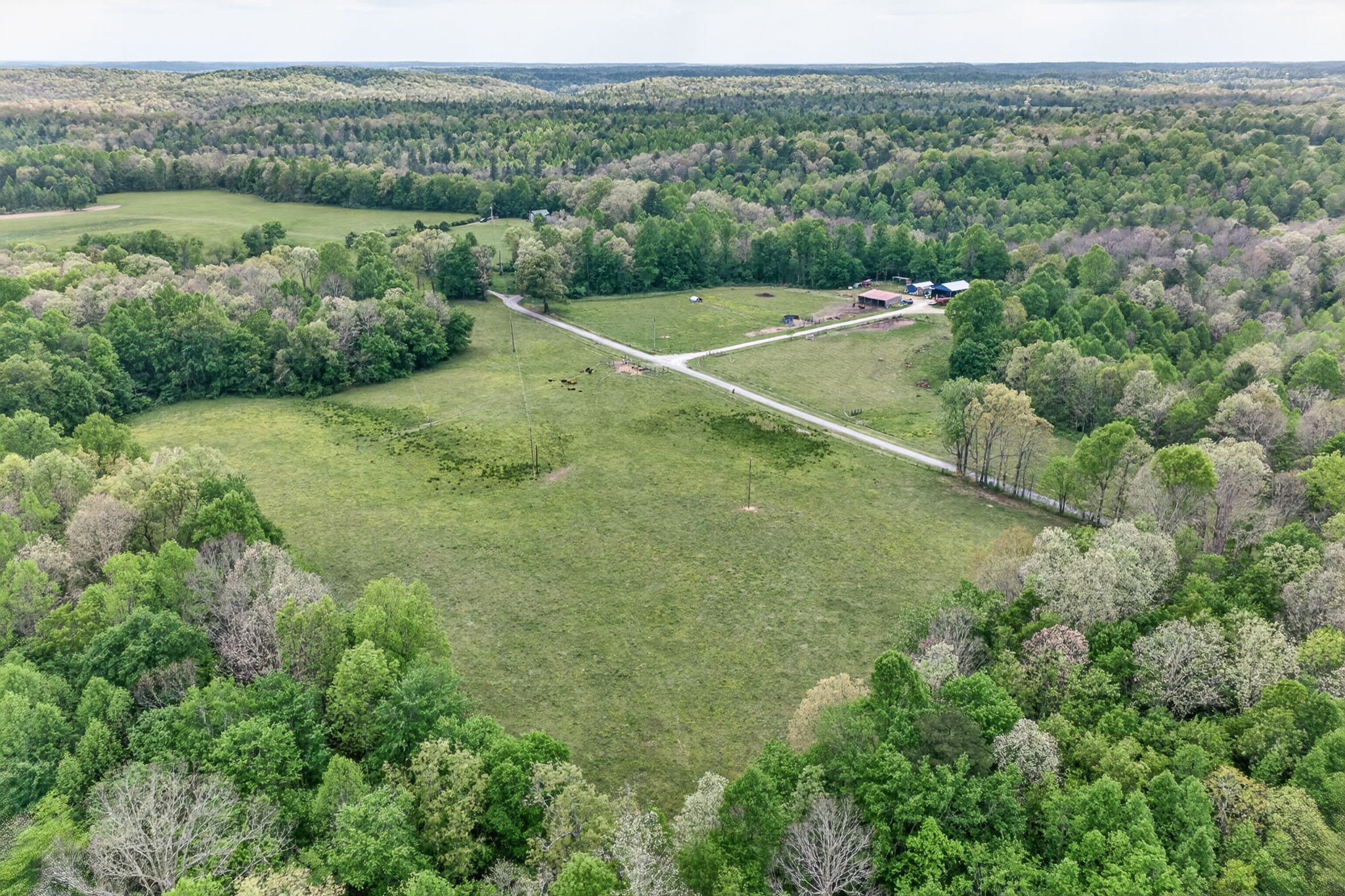 0 Honey Creek Loop Road Allardt, TN 38504 - Photo 14 of 19
