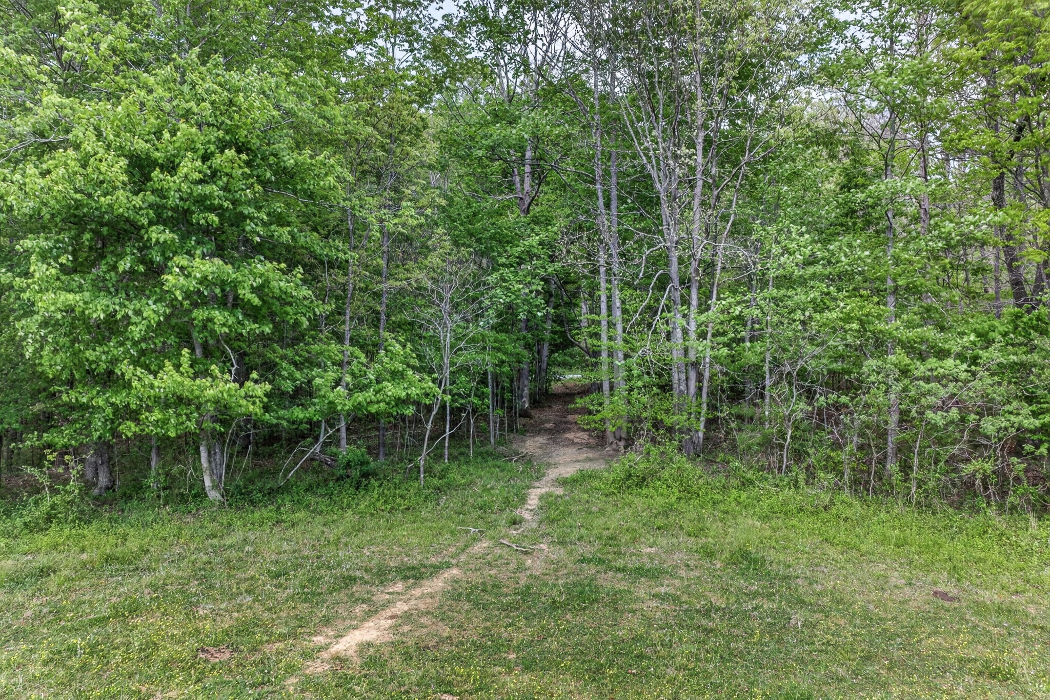 0 Honey Creek Loop Road Allardt, TN 38504 - Photo 15 of 19