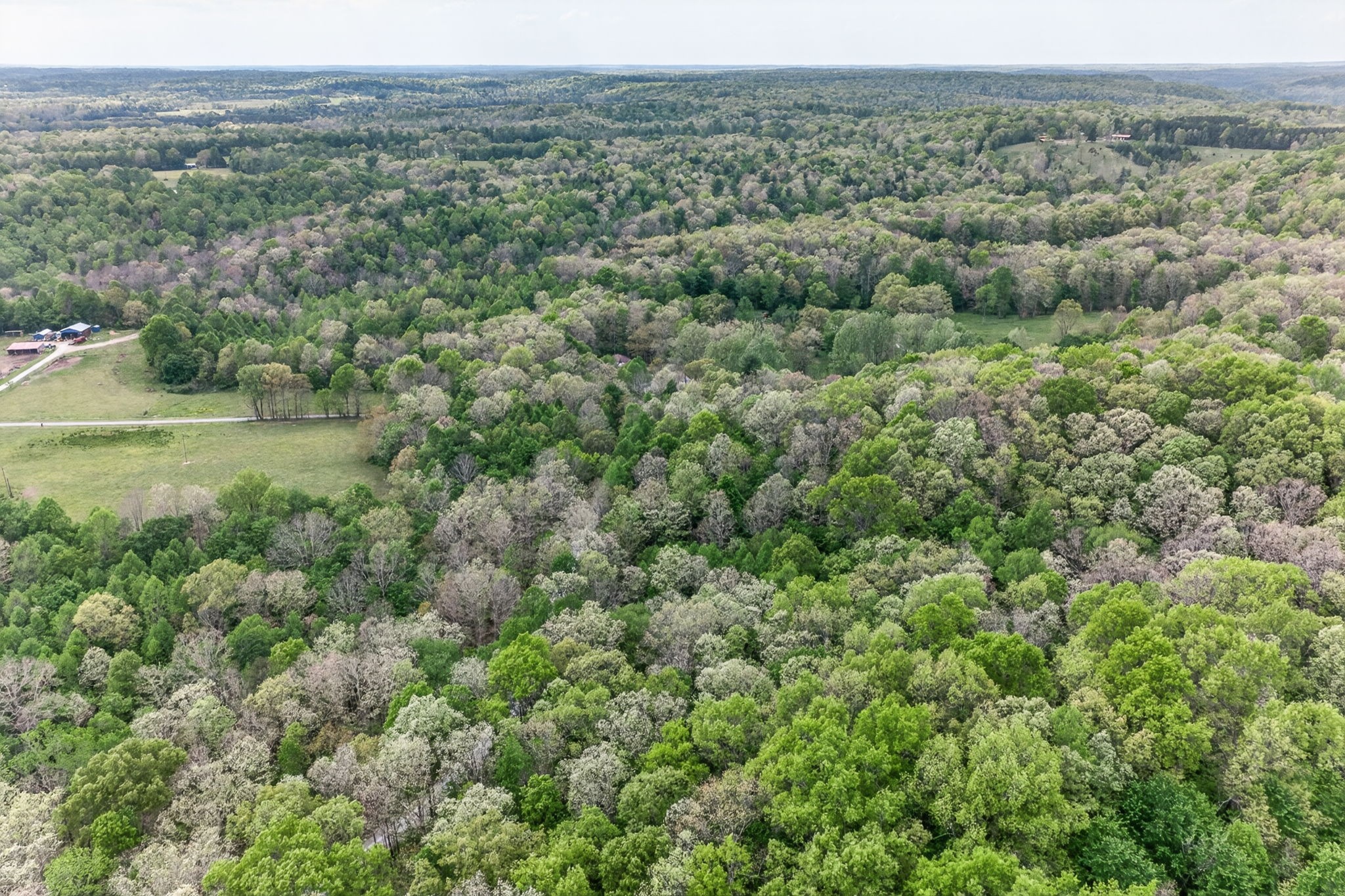 0 Honey Creek Loop Road Allardt, TN 38504 - Photo 16 of 19