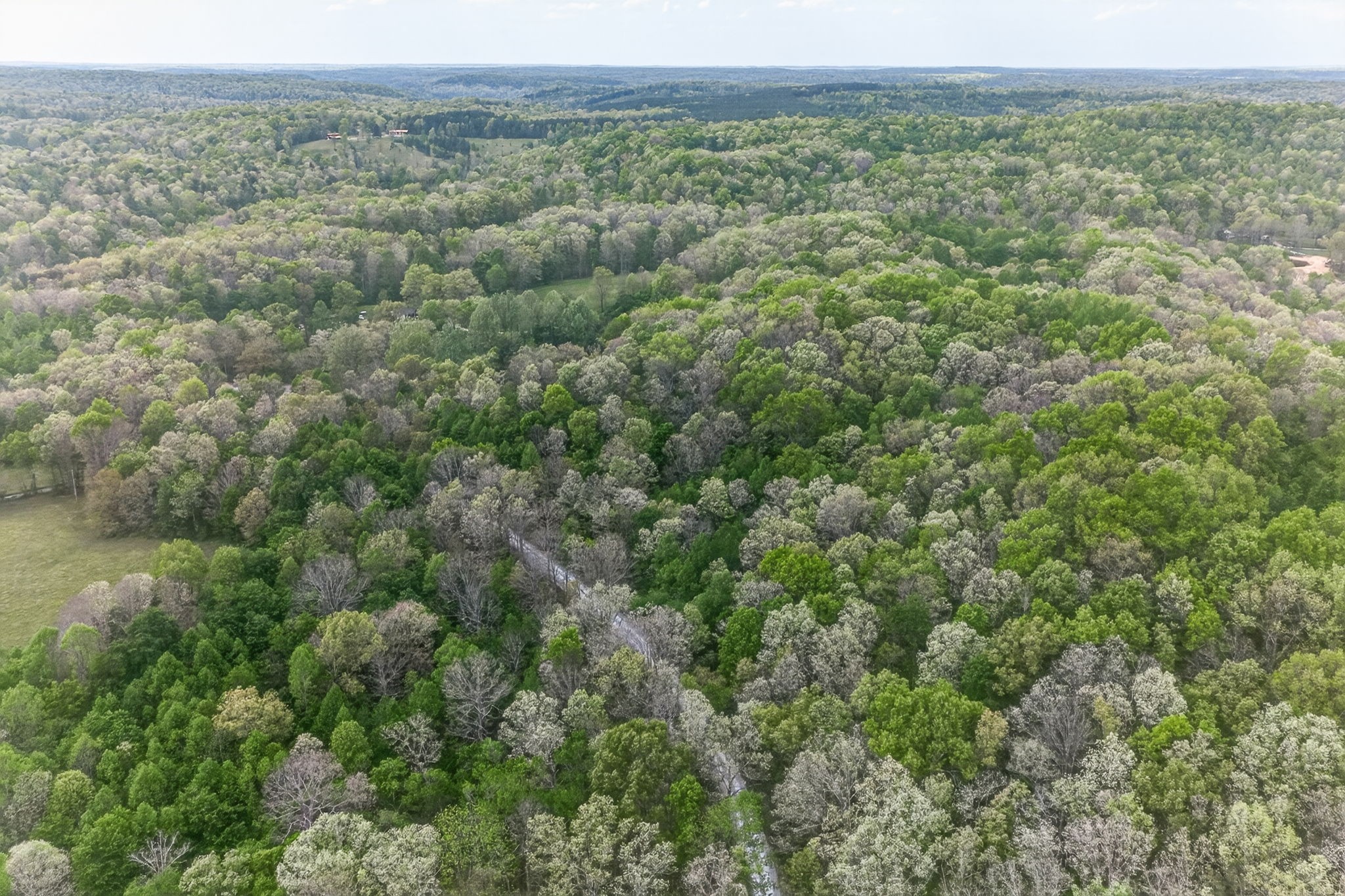 0 Honey Creek Loop Road Allardt, TN 38504 - Photo 17 of 19