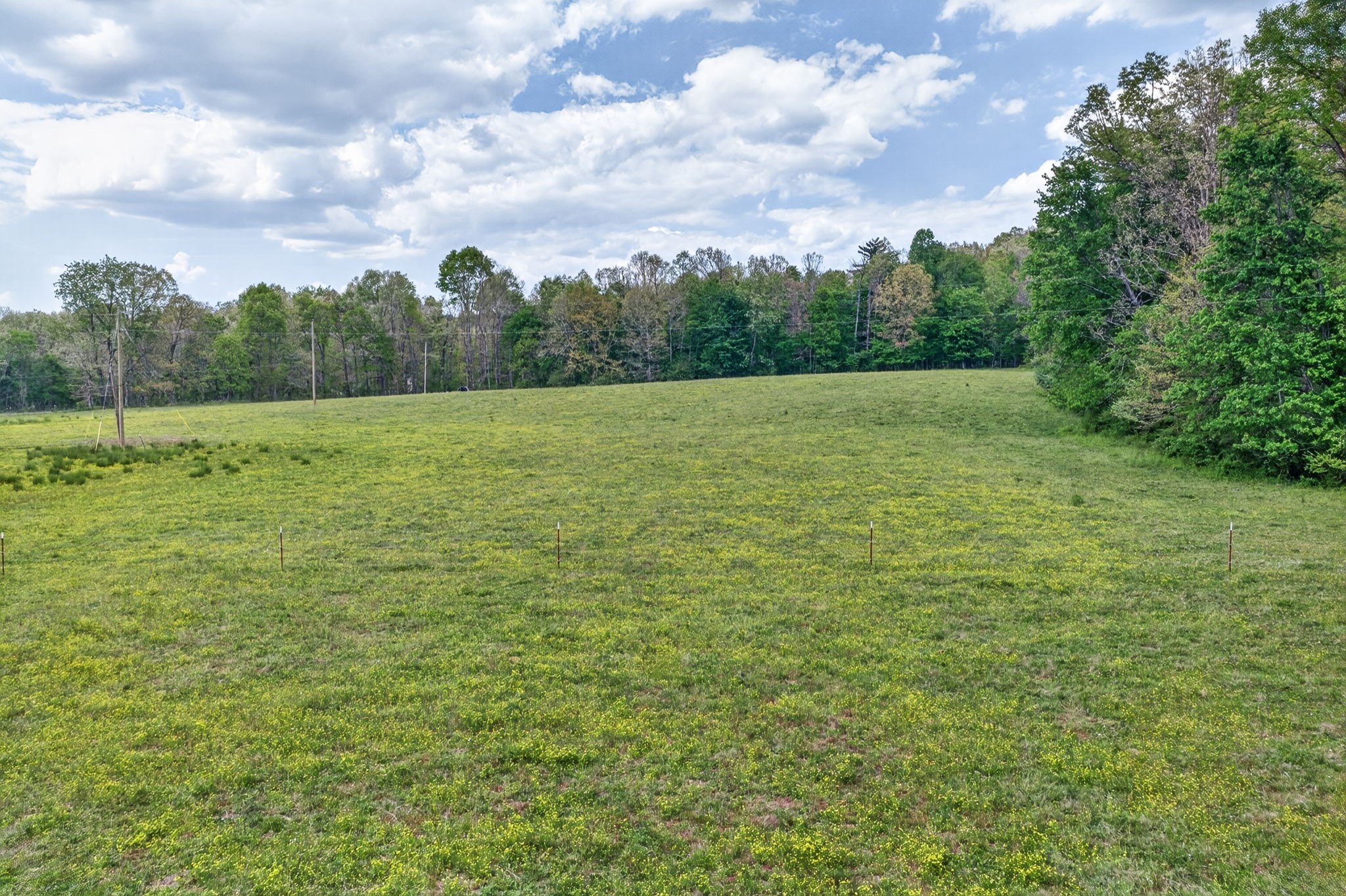 0 Honey Creek Loop Road Allardt, TN 38504 - Photo 2 of 19