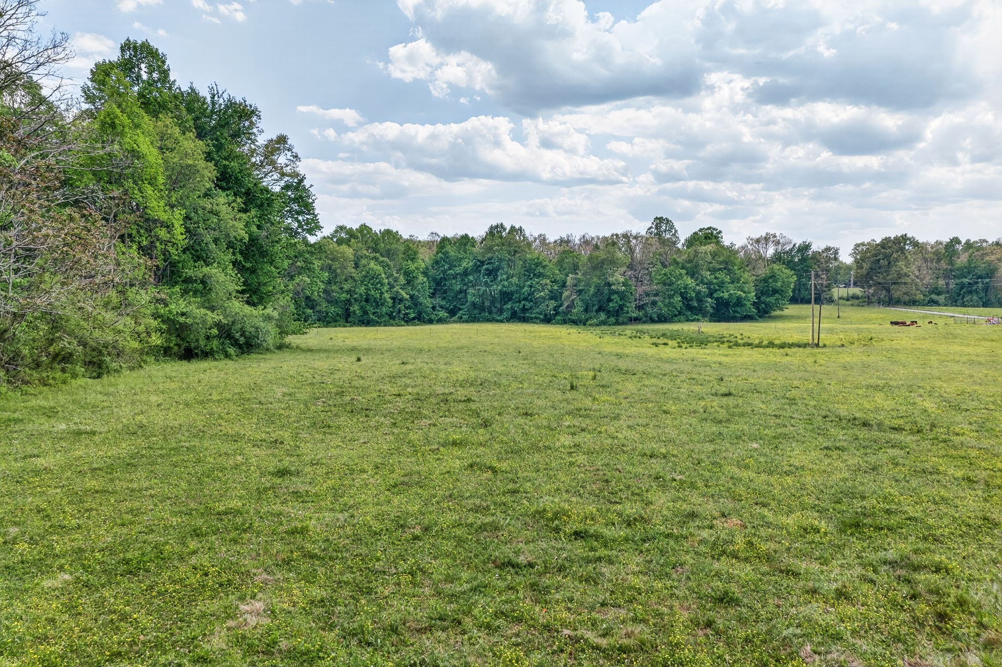 0 Honey Creek Loop Road Allardt, TN 38504 - Photo 3 of 19