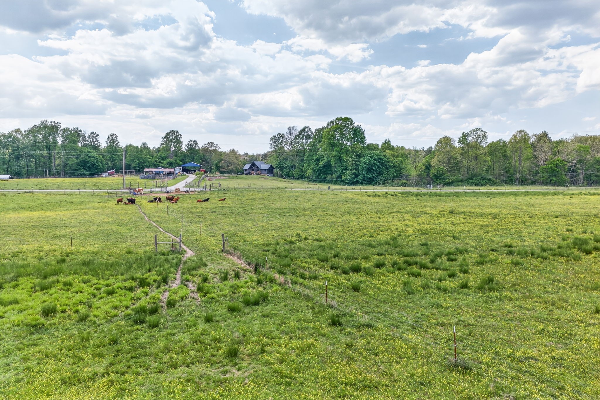 0 Honey Creek Loop Road Allardt, TN 38504 - Photo 4 of 19
