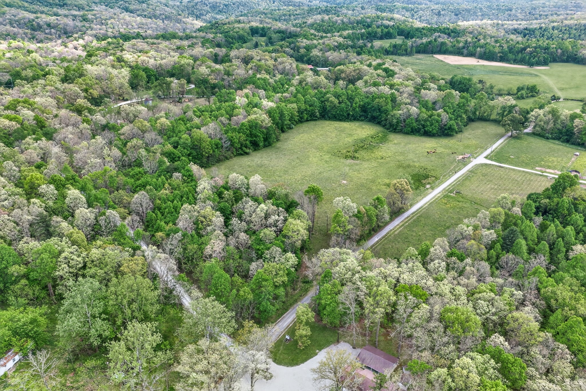 0 Honey Creek Loop Road Allardt, TN 38504 - Photo 5 of 19