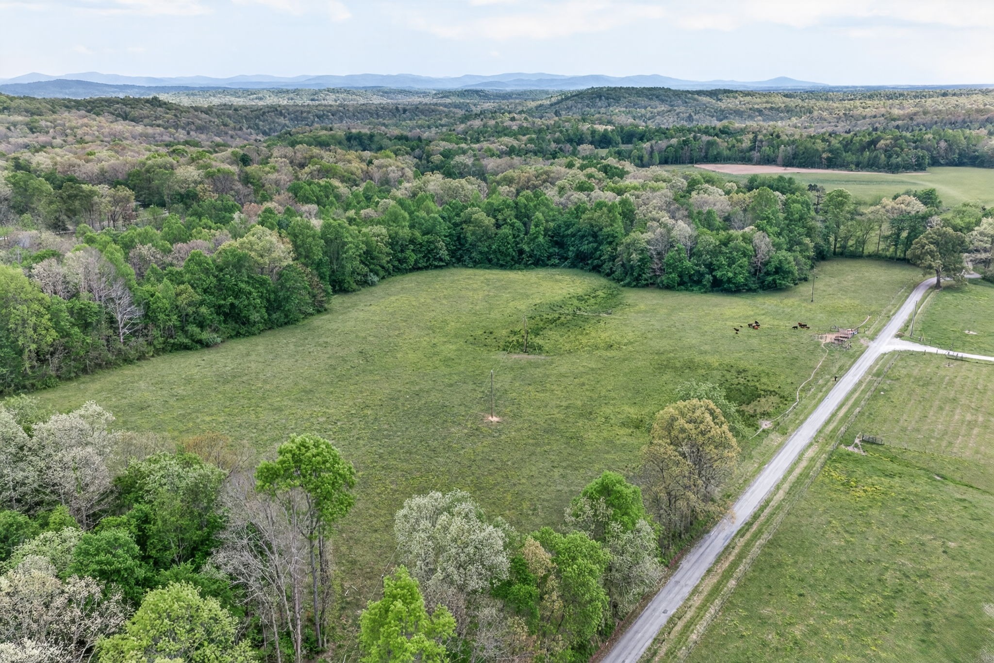 0 Honey Creek Loop Road Allardt, TN 38504 - Photo 6 of 19