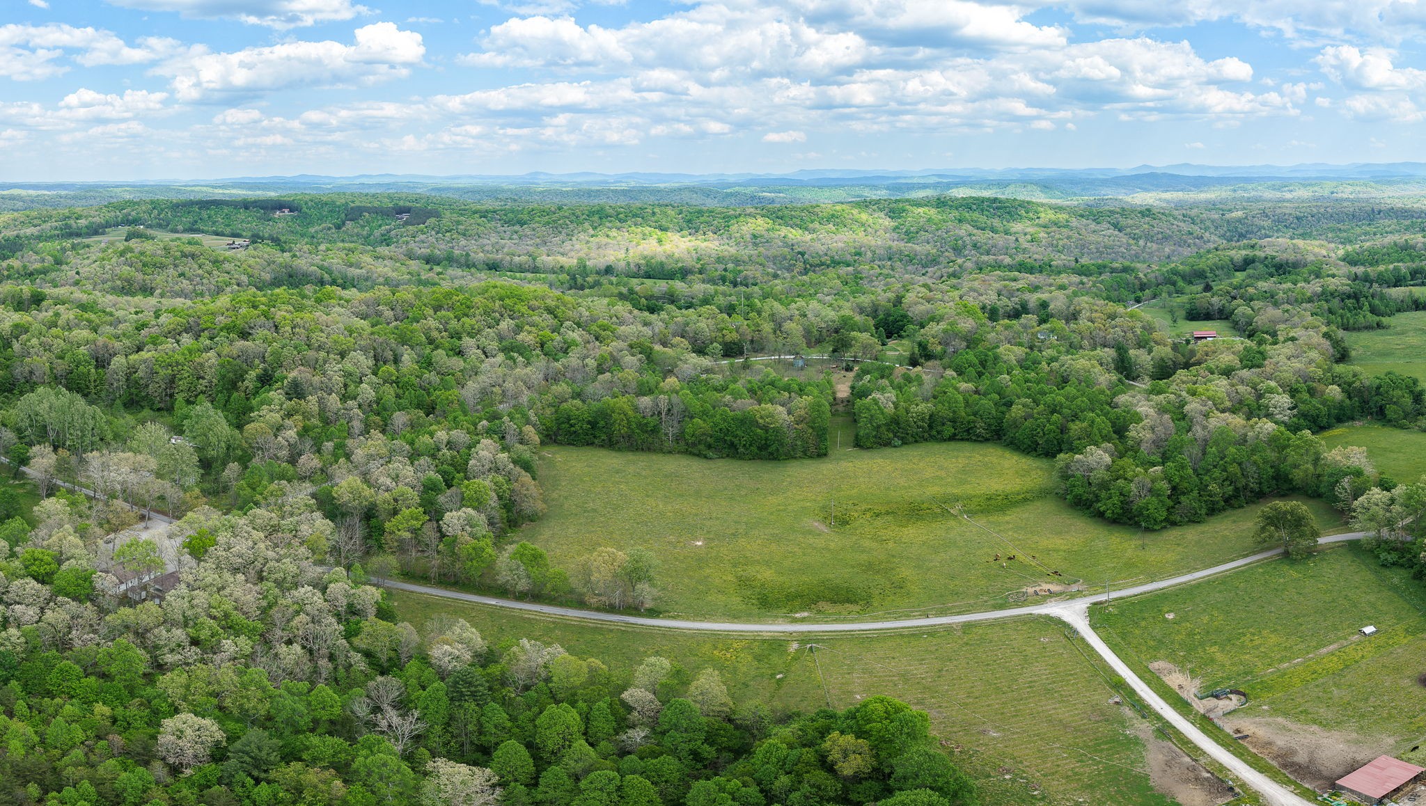 0 Honey Creek Loop Road Allardt, TN 38504 - Photo 9 of 19
