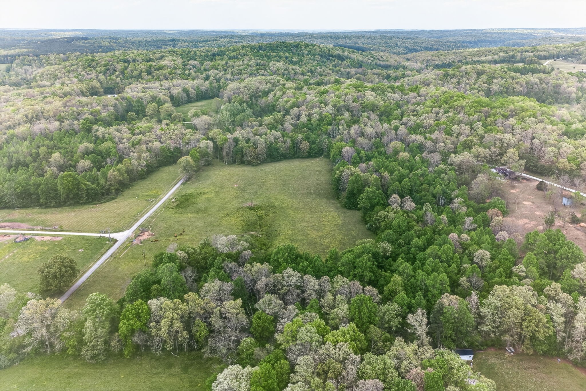 0 Honey Creek Loop Road Allardt, TN 38504 - Photo 10 of 19
