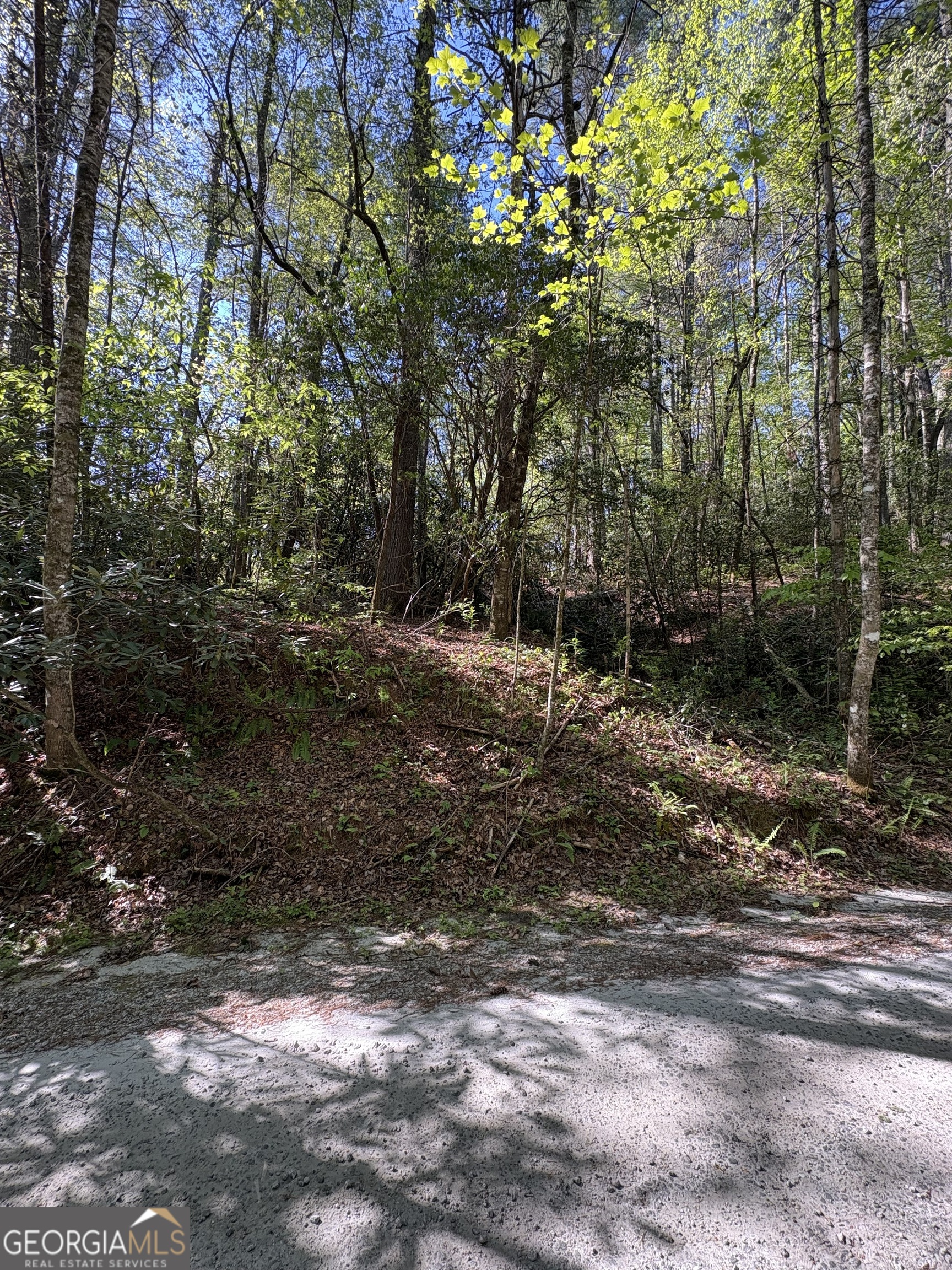 0 Western Way Rabun Gap, GA 30568 - Photo 5 of 8 a backyard of a house with lots of green space