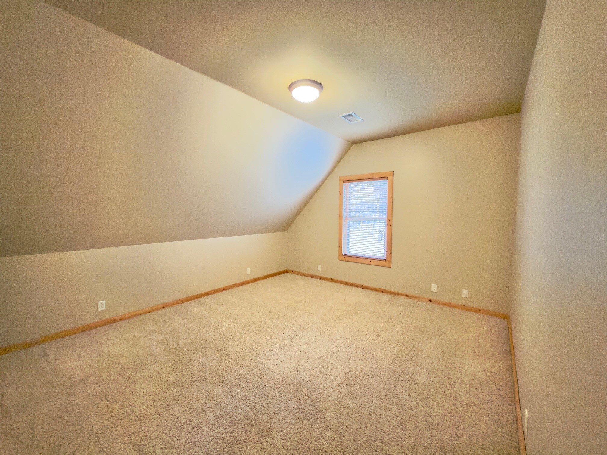 12112 Paw Paw Springs Road Arrington, TN 37014 - Photo 44 of 97