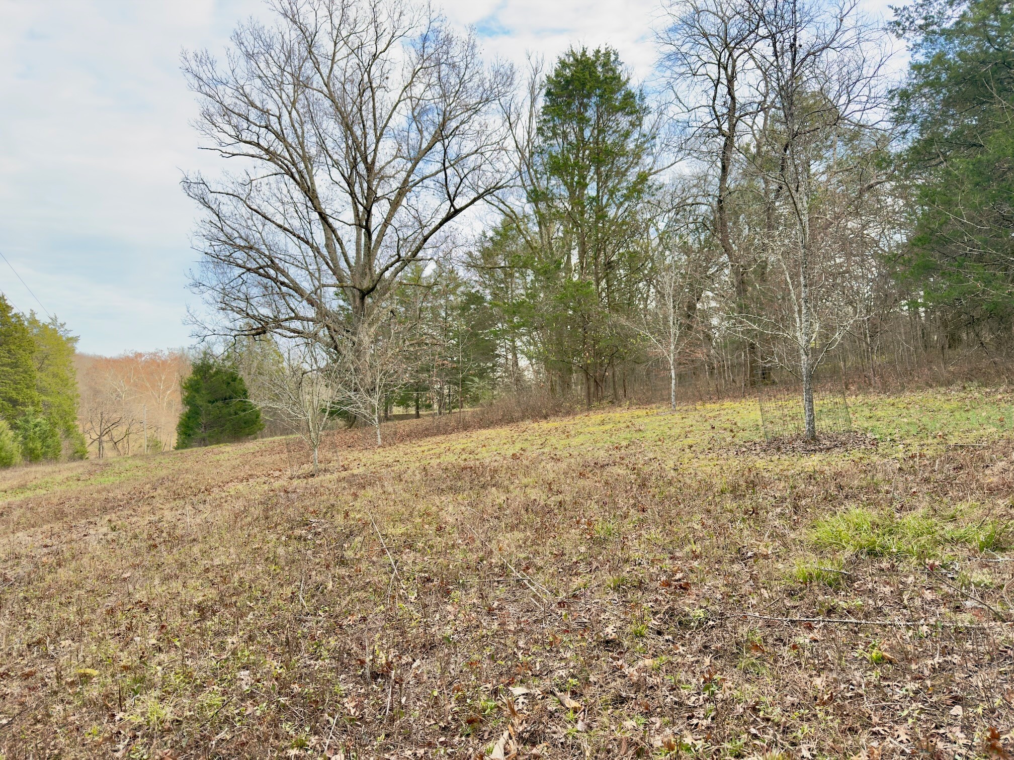 12112 Paw Paw Springs Road Arrington, TN 37014 - Photo 73 of 97