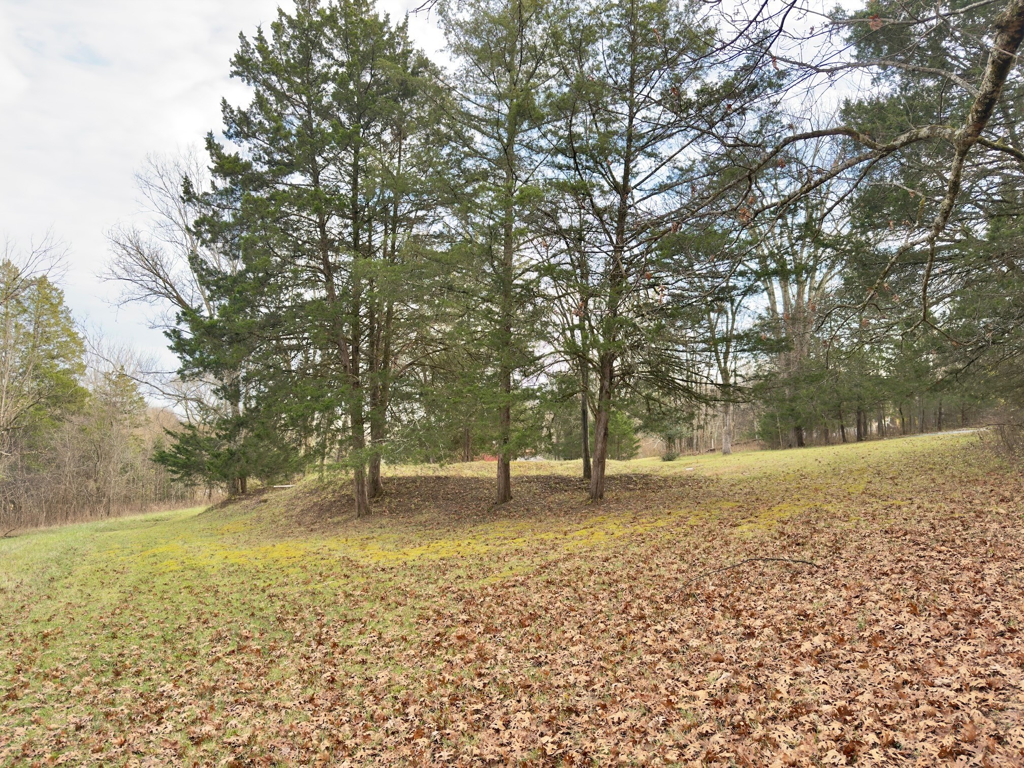 12112 Paw Paw Springs Road Arrington, TN 37014 - Photo 74 of 97