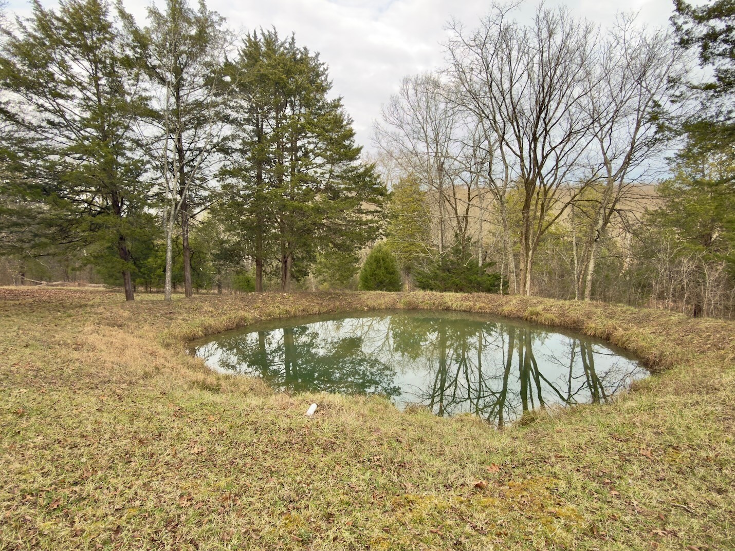 12112 Paw Paw Springs Road Arrington, TN 37014 - Photo 75 of 97