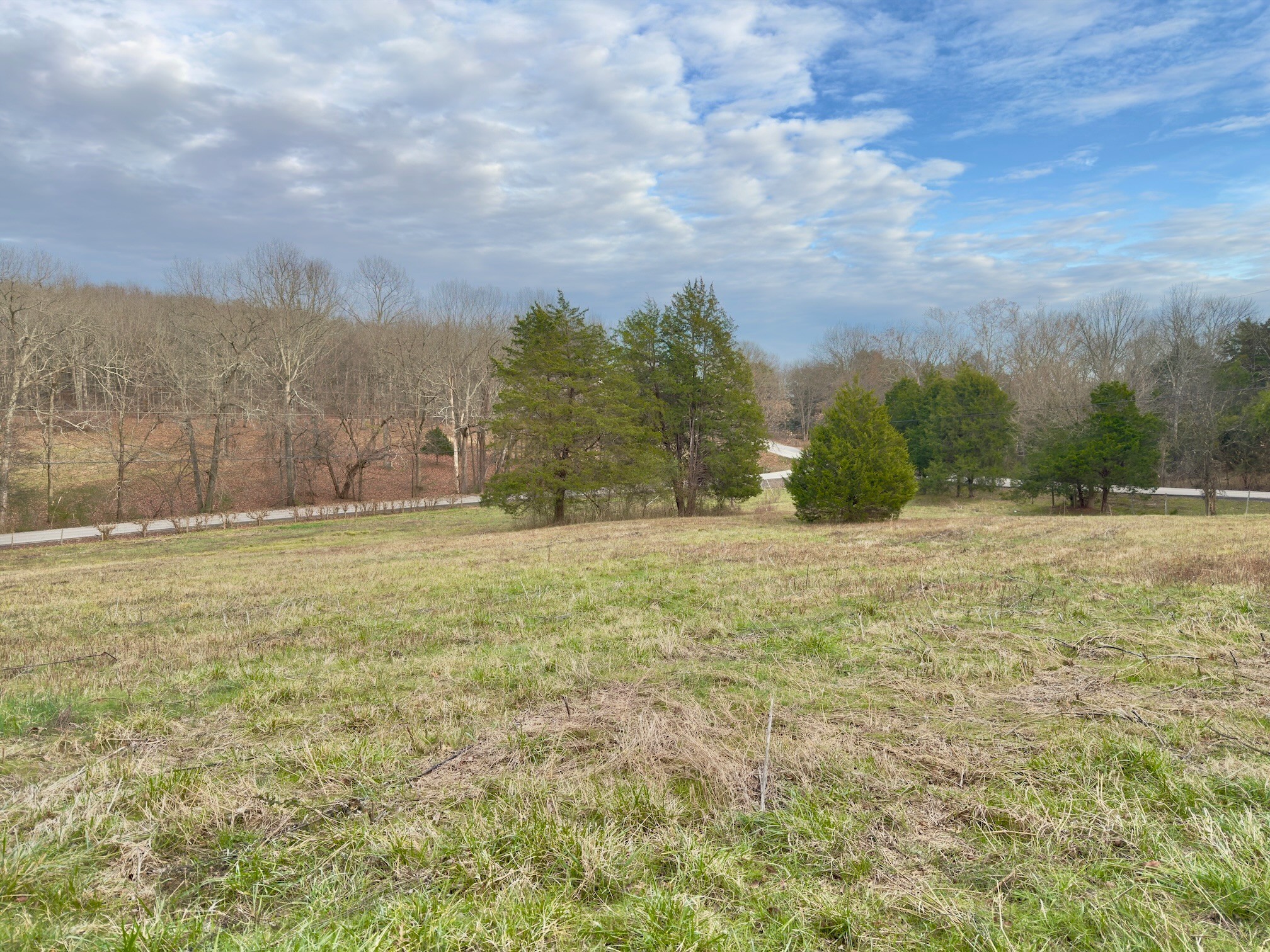 12112 Paw Paw Springs Road Arrington, TN 37014 - Photo 78 of 97