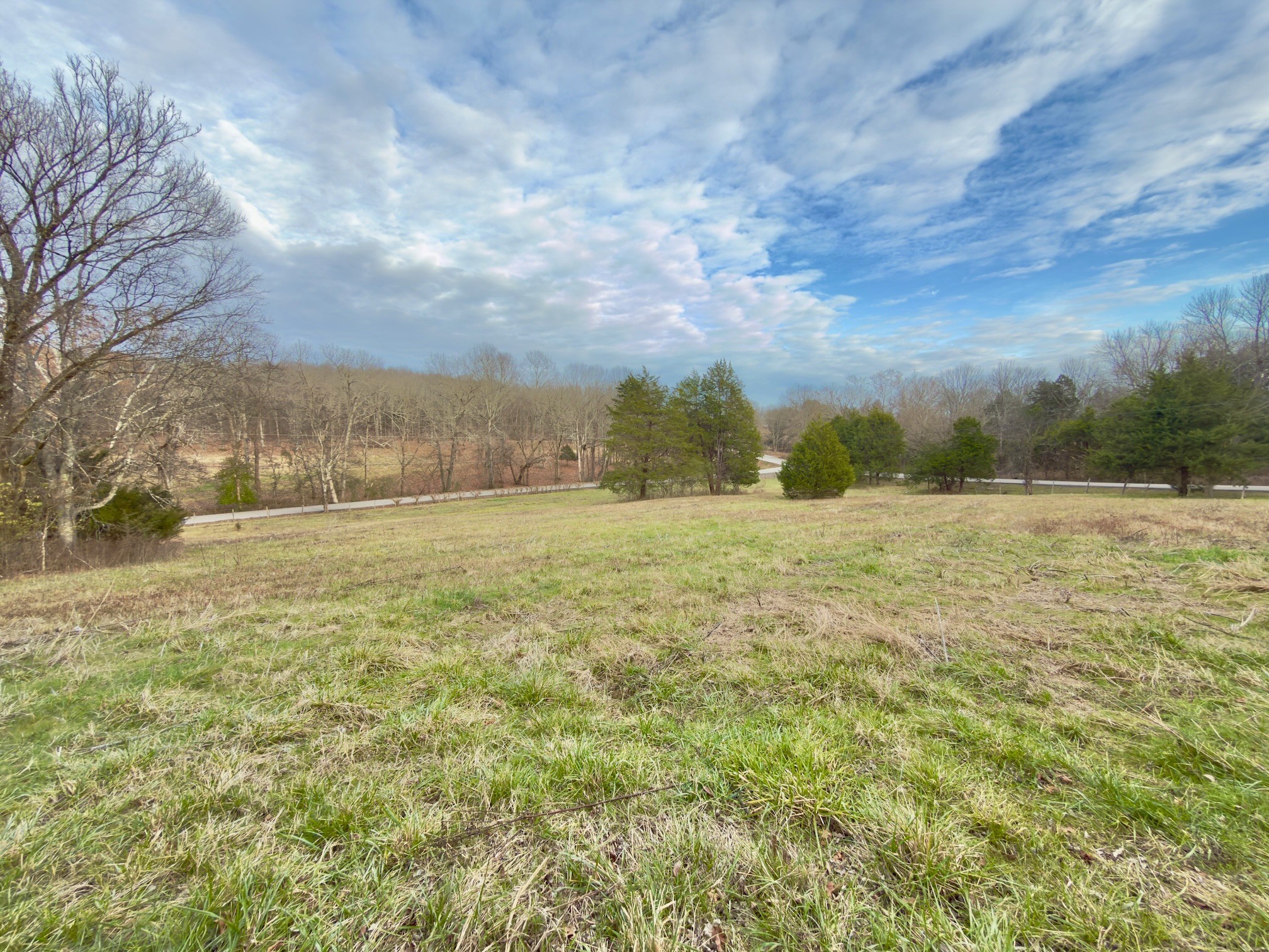 12112 Paw Paw Springs Road Arrington, TN 37014 - Photo 79 of 97