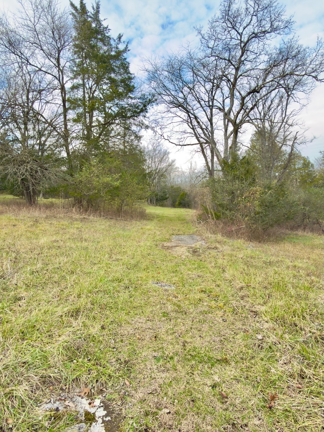 12112 Paw Paw Springs Road Arrington, TN 37014 - Photo 80 of 97