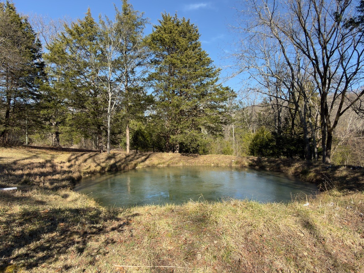 12112 Paw Paw Springs Road Arrington, TN 37014 - Photo 82 of 97