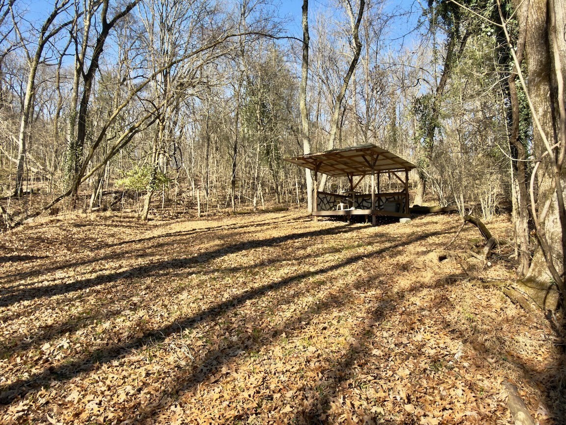 12112 Paw Paw Springs Road Arrington, TN 37014 - Photo 93 of 97