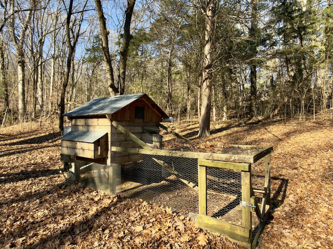 12112 Paw Paw Springs Road Arrington, TN 37014 - Photo 94 of 97