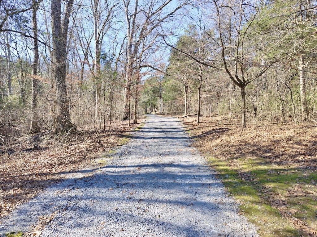 12112 Paw Paw Springs Road Arrington, TN 37014 - Photo 95 of 97
