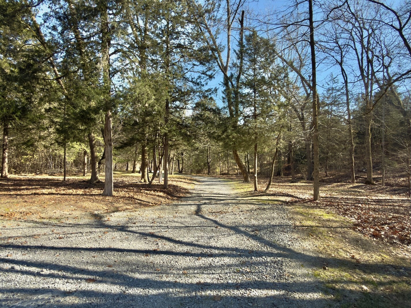 12112 Paw Paw Springs Road Arrington, TN 37014 - Photo 96 of 97
