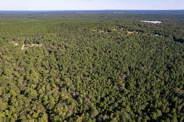 a view of a city with lush green forest