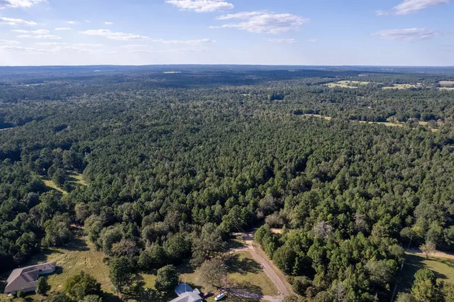 a view of a city with lush green forest