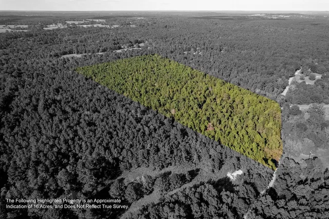 a view of a dry yard