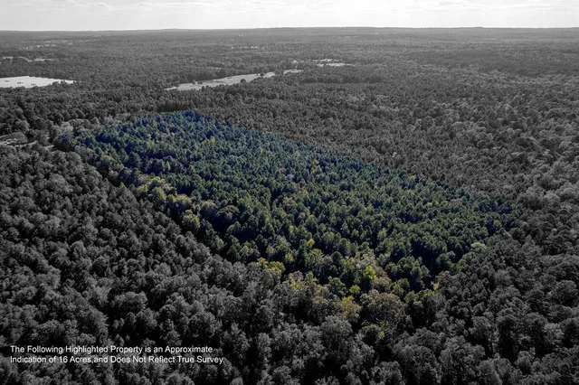 a view of a big yard