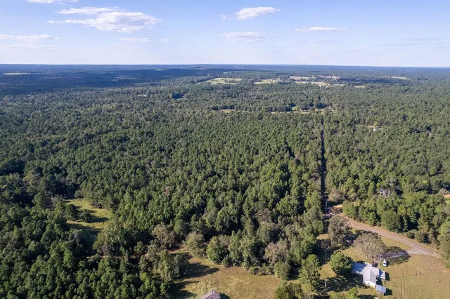 a view of a city with lush green forest