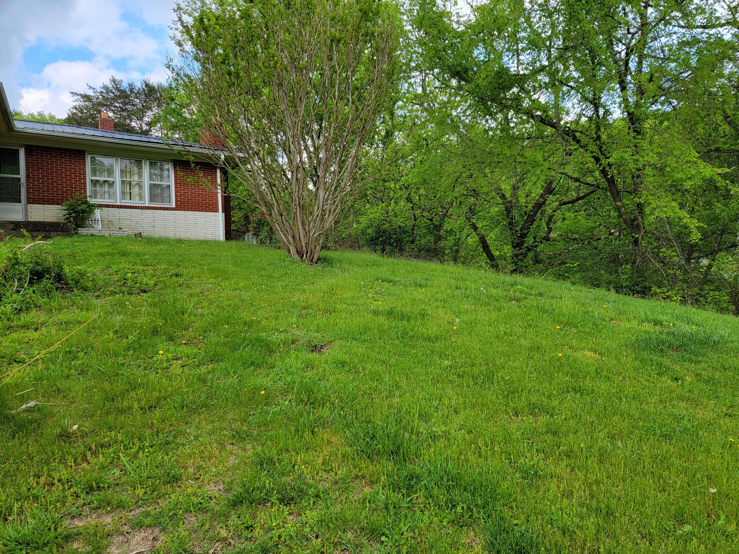 355 New Cave Church Road Newport, TN 37821 - Photo 3 of 19 Pic 1 -New Cave