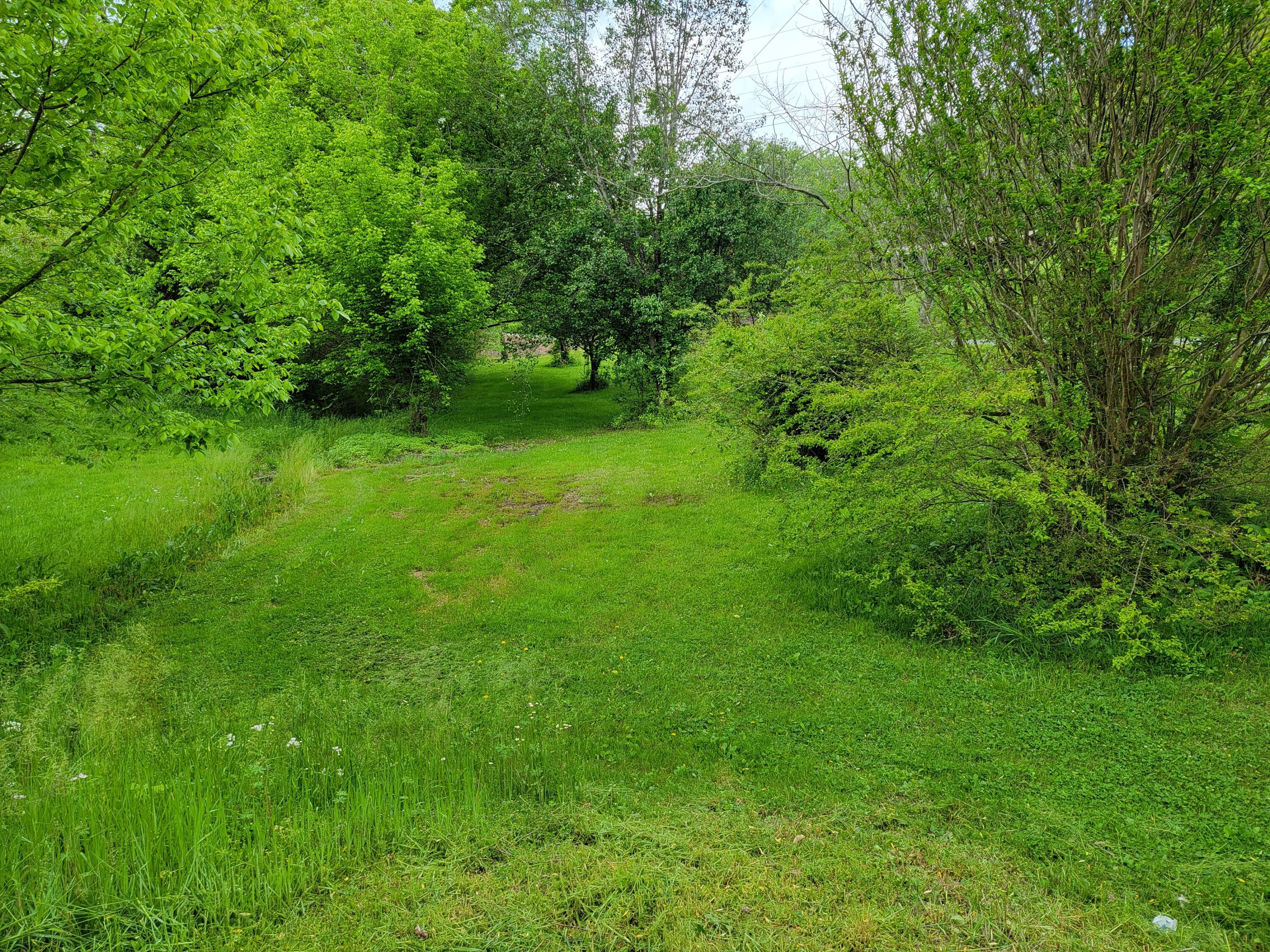 355 New Cave Church Road Newport, TN 37821 - Photo 5 of 19 Pic 3 -New Cave