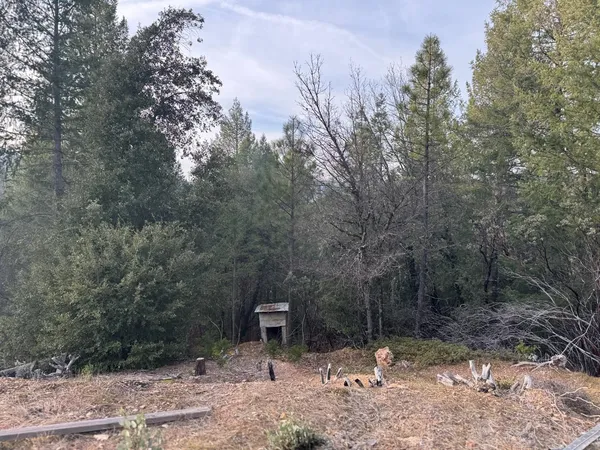 a backyard of a house with lots of green space