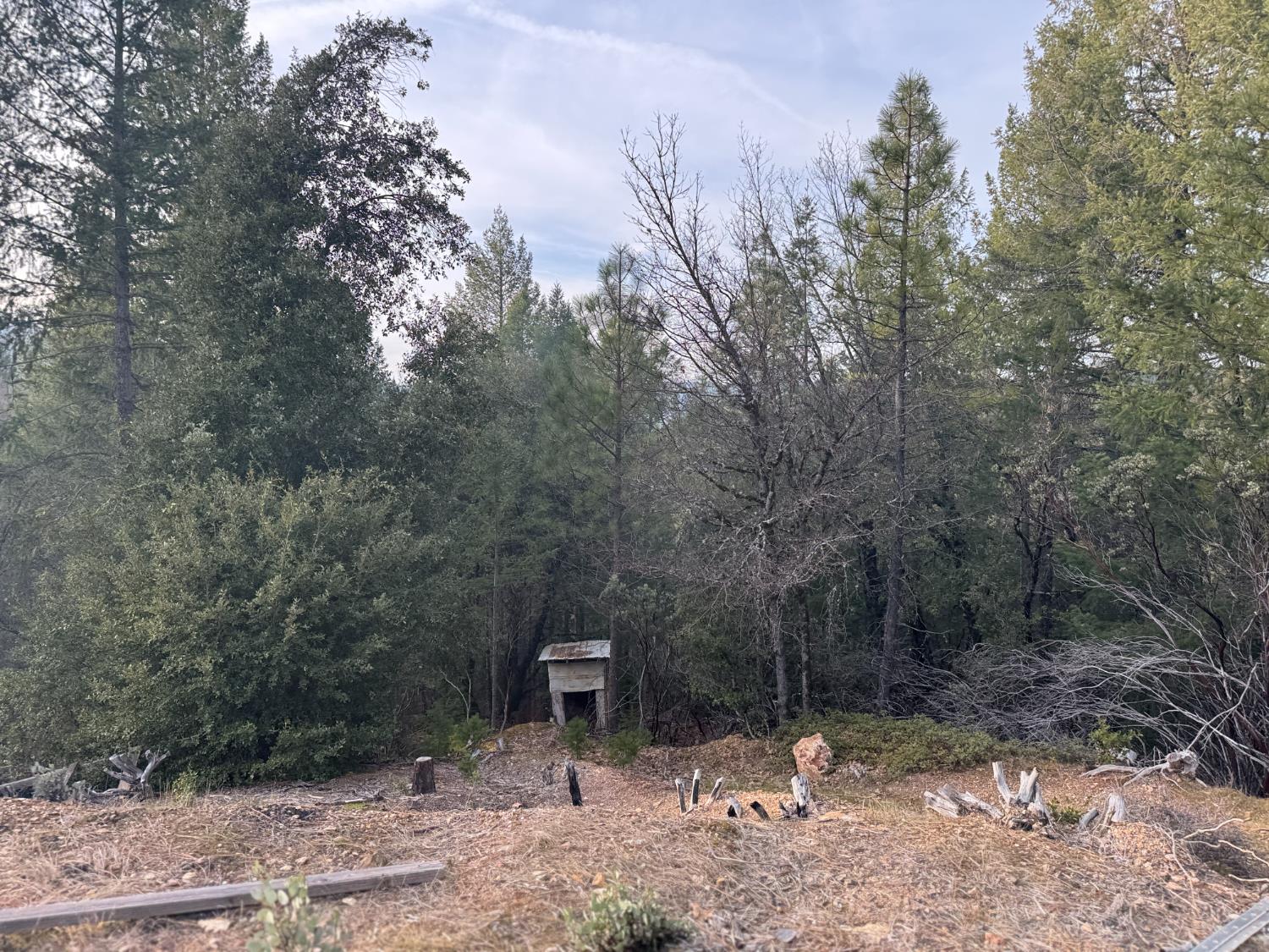 14037 Arrowhead Mine Road Grass Valley, CA 95945 - Photo 5 of 7 a backyard of a house with lots of green space