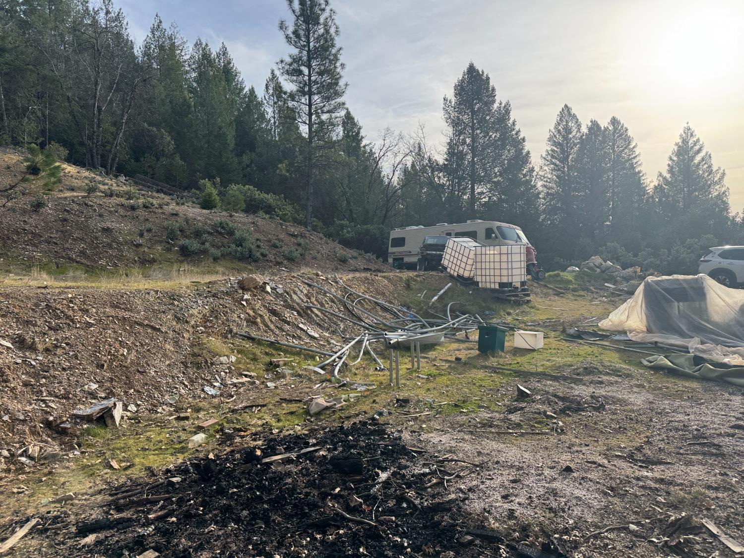 14037 Arrowhead Mine Road Grass Valley, CA 95945 - Photo 6 of 7 a view of a backyard with trees
